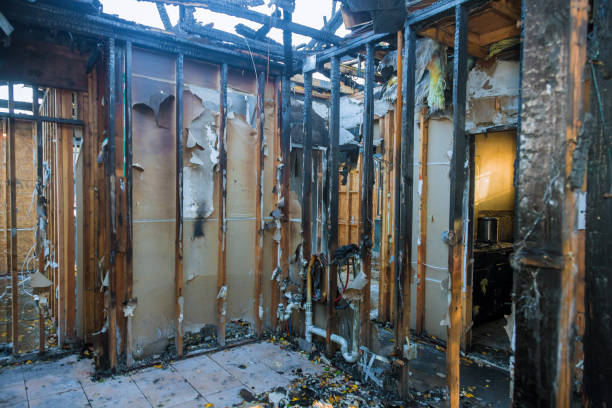 Professional Fire Damage Assessment technician working in Greenbriar, FL